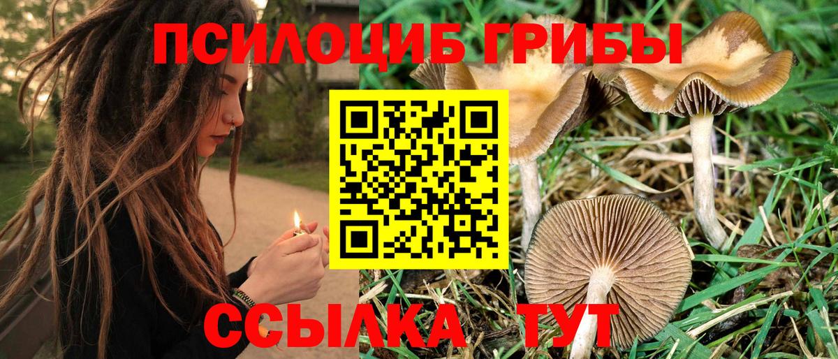Галлюциногенные грибы ЛСД  Вход с VPN  Славгород 